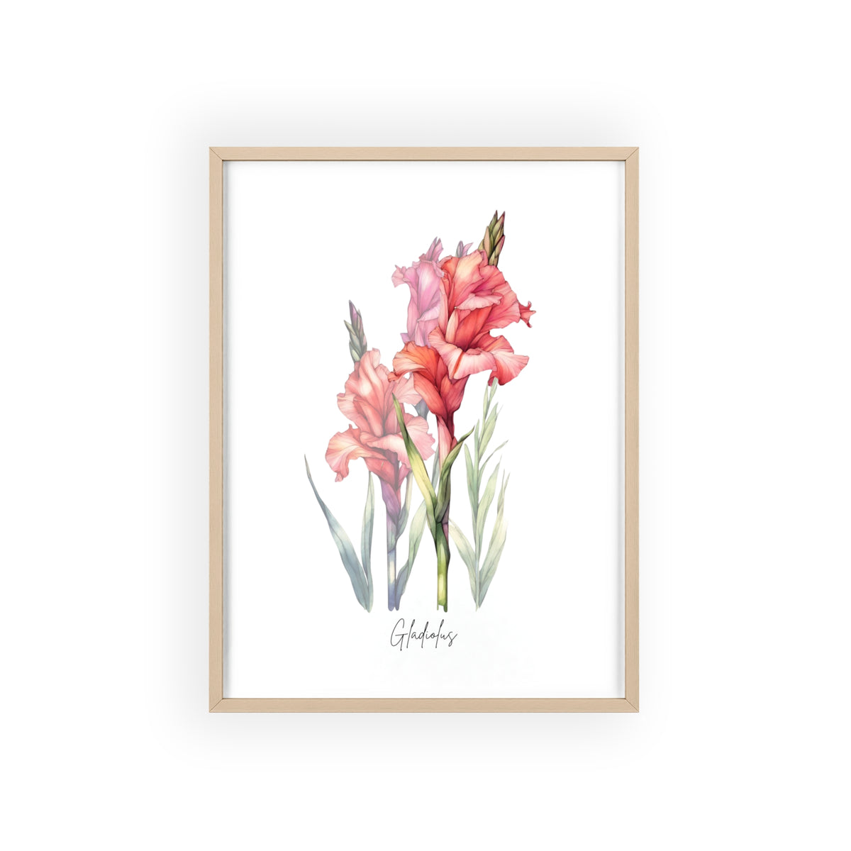 Gladiolus Birth Flower